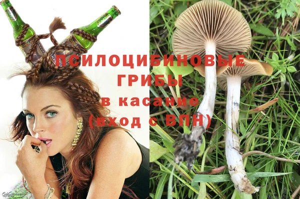 тгк Абинск